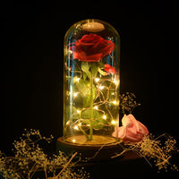 Beauty And The Beast Enchanted Rose Lamp LED Light