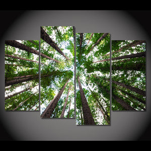 4-Piece Green Forest Canopy Canvas Wall Art