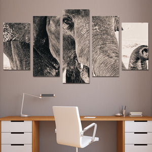 5-Piece Black & White Elephant Closeup Canvas Wall Art