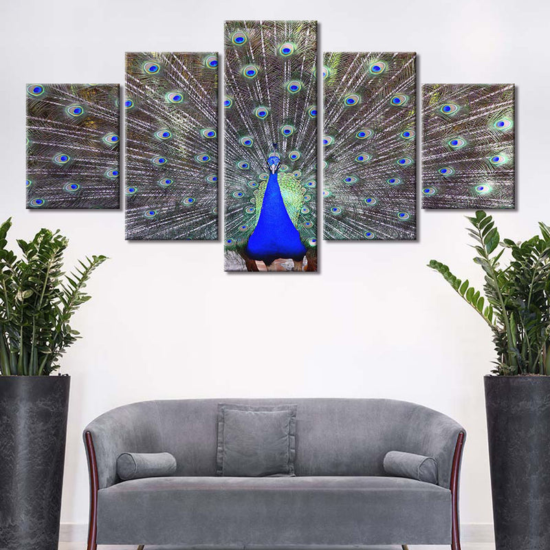 5-Piece Green / Blue Peacock Feathers Canvas Wall Art