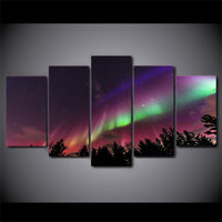 5-Piece Colorful Northern Lights Sky Canvas Wall Art