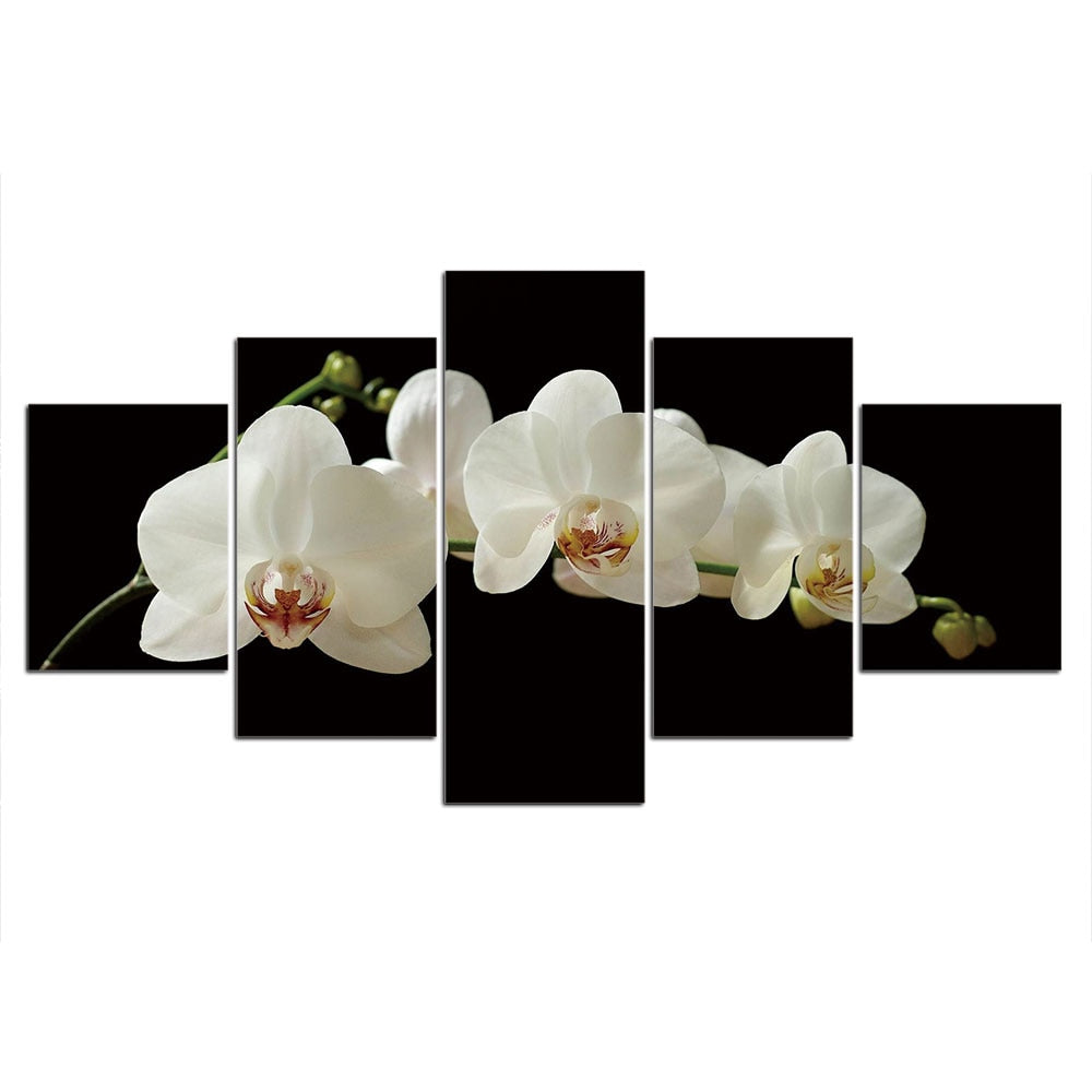 5-Piece White Orchid Blossoms Canvas Flower Wall Art