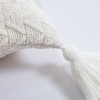 18" Knitted Chenille Throw Pillow Cover w/ Tassels