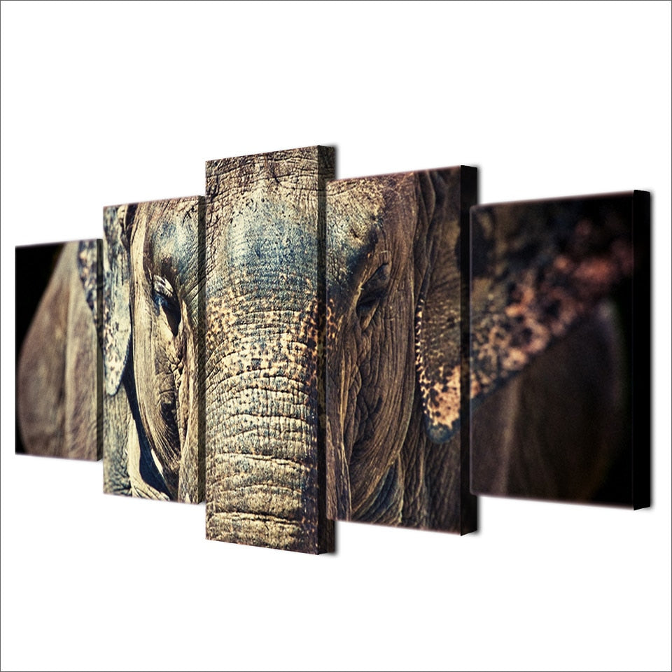 5-Piece Indian Elephant Closeup Canvas Wall Art