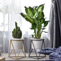 Geometric Triangle Wire Desktop Planter w/ Ceramic Pot