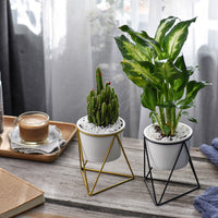 Geometric Triangle Wire Desktop Planter w/ Ceramic Pot