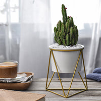 Geometric Triangle Wire Desktop Planter w/ Ceramic Pot