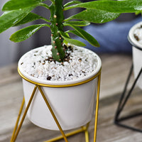 Geometric Triangle Wire Desktop Planter w/ Ceramic Pot