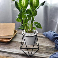 Geometric Triangle Wire Desktop Planter w/ Ceramic Pot