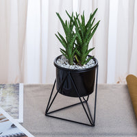 Geometric Triangle Wire Desktop Planter w/ Ceramic Pot