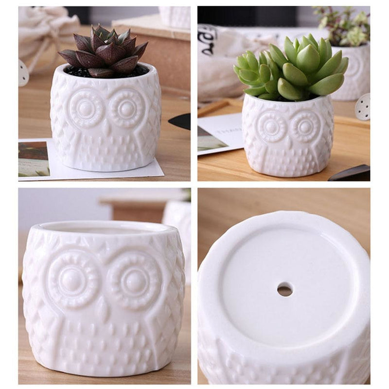 Mini Wood / Ceramic Owl Succulent Planter Pot Set