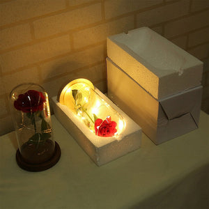 Beauty And The Beast Enchanted Rose Lamp LED Light