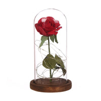 Beauty And The Beast Enchanted Rose Lamp LED Light