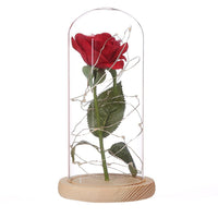 Beauty And The Beast Enchanted Rose Lamp LED Light