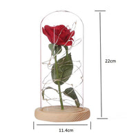 Beauty And The Beast Enchanted Rose Lamp LED Light