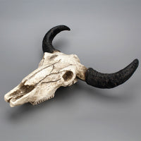 6" Mini Wall-Mounted Resin Longhorn Cow Skull