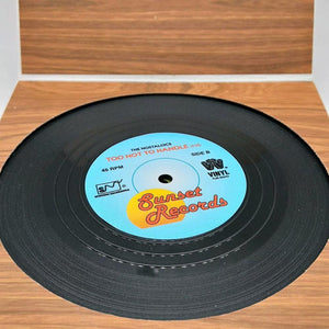 6-Piece Retro Vinyl Record Drink Coaster Set
